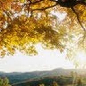 Meet your Posher, Camille